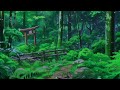 Forest Retreat: Nature-Inspired LOFI Beats for Inner Peace