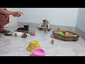 Guilty Dog and cat is so funny🤣🦮Try Not to Laugh🐶2024 Part 19