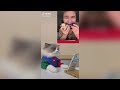 1 HOUR That Little Puff | Cats Make Food 😻 | TikTok Compilation 2024 #105