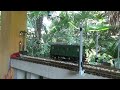 ROUNDHOUSE DARJEELING D CLASS - SETTING STEAM AND REVERSE  - THERE ARE OTHER LGB ELECTRIC LOCO