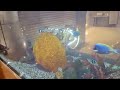 Aquarium at Niranta Airport Hotel and Lounge