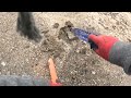 Metal Detecting a Ski Hill After the Thaw!