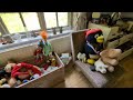 Abandoned House filled with toys