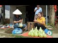Harvesting Gourds Goes to the market sell - Cooking | Ly Thi Tam