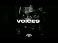 (FREE) Dancehall Riddim Instrumental 2024 - Voices 😔
