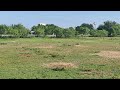 Prairie dog preserve