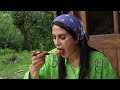 Istanbul cooking with seasonal salad in a wooden hut!/ Rural life