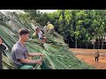 3 DAYS Speedrun Bamboo House Build | Villager Roofing Assistance | Heartwarming!