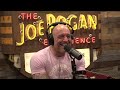 Royce Gracie on Winning UFC #1 and Being a MMA Pioneer