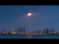 MIAMI 8K Video Ultra HD With Soft Piano Music - 60 FPS - 8K Nature Film