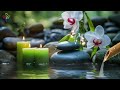 Bird Chirping & Bamboo Water Fountain 🌿 Piano music relaxes mind and body 🌿 deep sleep music