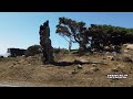 A Trip up the California Coast from Jenner to Sea Ranch