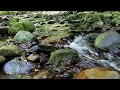 【自然の音と瞑想】川の流れ