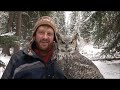 Falconry: Hunting with owls...Owlconry?