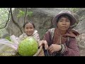 TRUY TÌM người phụ nữ SỐNG ẨN trong rừng ĂN LÁ, ăn khoai, để TỒN TẠI - tập 1081