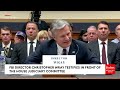 Harriet Hageman Grills Wray About FBI Meetings With Social Media Companies