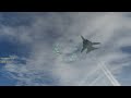 DCS World : F-14 wants to fly with me :3
