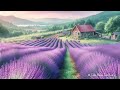 [Piano] Lavender Dream 🪻🪻Relaxing music for study and relaxation.