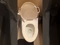 Fixing running toilet (change a flapper)