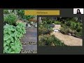 Designing with Native Plants - Randi Gunder