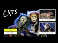 The Cats at the Jellicle Ball | Cats the Musical