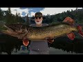 We Caught The MONSTER Legendary Pike! *65lbs* Call of the wild The Angler Guide