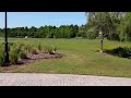 Panoramic View of a Garden At Orlando Marriott