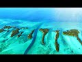 One of the most isolated ecoregions in the World , ALDABRA: Seychelles: Amazing Planet (4K) 2023
