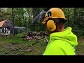 Trees VS Husqvarna 592XP