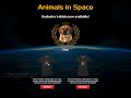 Animals in Space Tshirt Bumper