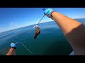 Fishing with Sand Fleas Over a Wreck. EPIC BITE #fishing #fish #epic