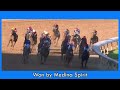 Top 5 Most Thrilling Horse Racing Moments from the Past Few Years