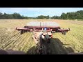 Replanting soybeans, no cover crop, slugs