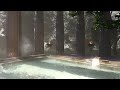 Ancient Roman Bath Ambience | Hot Spring in the Forest | Onsen ASMR