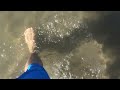 Relaxing beach walk southern Italy :D (includes jellyfish, rolling worms, seagulls, parasailing guy)