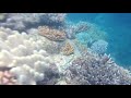 Great Barrier Reef