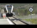 Trens de Lleida: RL2 Lleida-La Pobla de Segur: Estació de Sant Llorenç de Montgai. Stadler 331