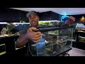 How To Add Fish Right Away To Your NEW Aquarium - Easy Guide