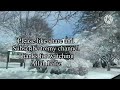 Blizzard Sounds for Sleep, Relaxation & Staying Cool | Snowstorm Sounds & Howling wind in the forest