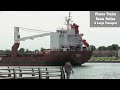 Heerengracht 138m General Cargo Ship In St Clair River