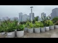 [4K SEOUL TOUR]From Concrete to Green: Seoul’s Stunning Seoullo 7017 I City park on an overpass