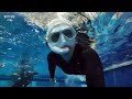 [水이로그] 10월의 연습 일지 | 수심PB 새롭게 갱신🙌🏼💖🎉 | 프리다이빙브이로그, Freediving Vlog, Freediver, Padiadvanced ‼🎊🧜🏽‍♀️
