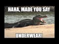 black caiman look under there meme