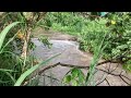 Fiji March 2024 floods Sabeto