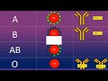 ABO Blood Group System - Medical Tutorial