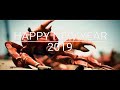 Happy New Year 2019 | Crab Rave |