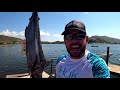 MARLIN AZUL - Más de 300 libras!! - Pesca en ALTA MAR