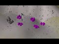 The 2004 RuneScape metas that you've never heard about