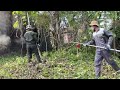 Clean up overgrown trees, transform a horrifying abandoned house