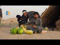 گزارش ویژه از حاصلات میوه کانال قوشتپه  |  Qosh Tepa Canal